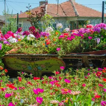 Affittacamere Morski Rai Byala (Varna)