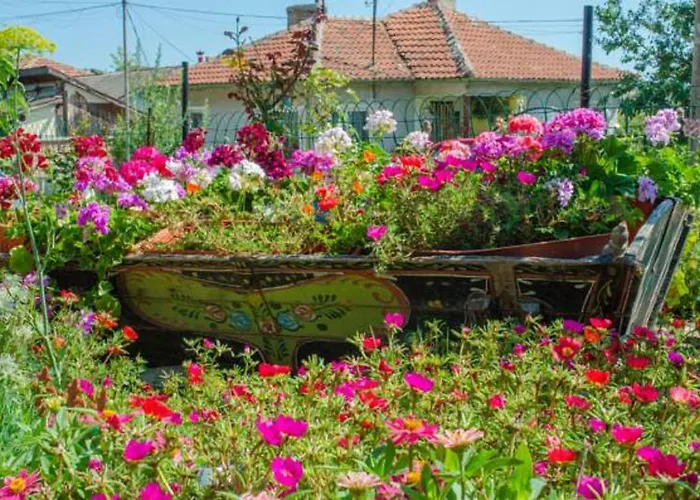 Affittacamere Morski Rai Byala (Varna)