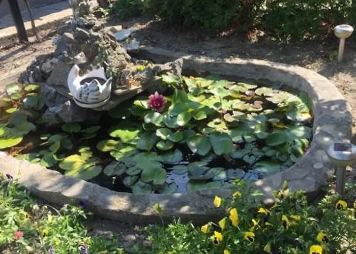 Morski Rai Byala (Varna)